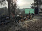 Симферополь, вырубка деревьев на улицах Хохлова и Лескова напротив Дома глухих.