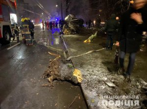 У Житомирі п'яний водій загинув внаслідок моторошної ДТП. Фото: Нацполіція