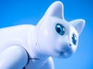 Роботизована кішка MarsCat може проявляти емоції