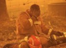 С начала пожаров в сентябре погибли не менее 24 человек