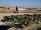 Самолет Boeing 737-800 авиакомпании МАУ упал вблизи международного аэропорта имени Имама Хомейни в Тегеране