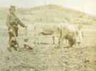 Показали уникальные фотографии быта Австро-Венгерских саперов времен Первой мировой войны