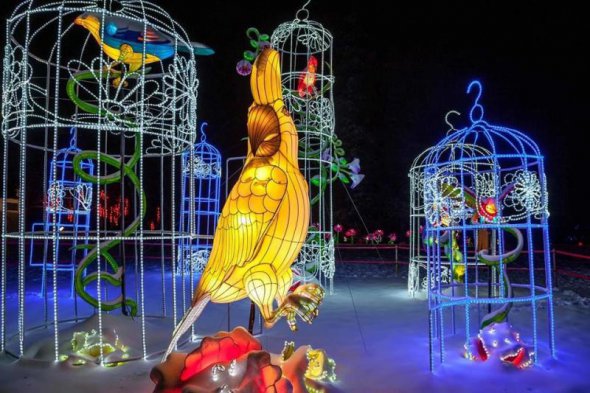 У Києві пройде фестивль китайських фонариків