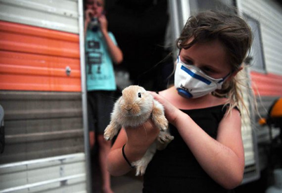 Жасмин Сендерс держит своего кролика Жейка после эвакуации в Эдене, штат Новый Южный Вельс. Фото: REUTERS