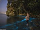 Австралиец сфотографировал биолюминисцентний планктон, на берегу пляжа возле дома матери