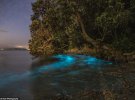 Австралиец сфотографировал биолюминисцентний планктон, на берегу пляжа возле дома матери