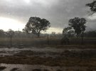 Над Австралией прошли дожди