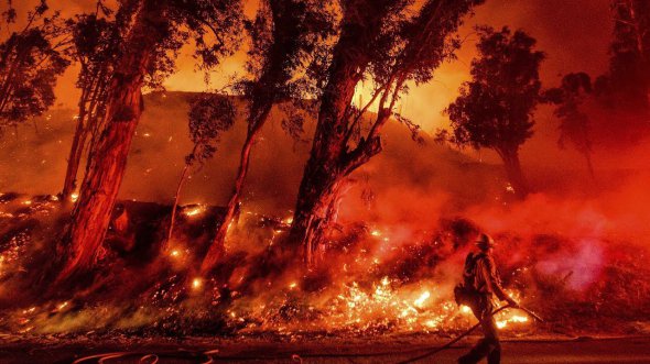 Пожары в Австралии стали самыми из зафиксированных на континенте