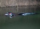 Під Києвом Hyundai з 9-річною дитиною впав у річку і потонув
