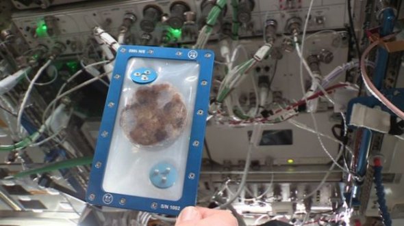 Впервые в космосе попробовали испечь печенье