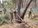 Пожежа в Австралії: показали, як військові рятують коал