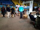 Dog Show of All Breeds of 2 * CACIB FCI "Sup of Lemberg 2020" in Lviv