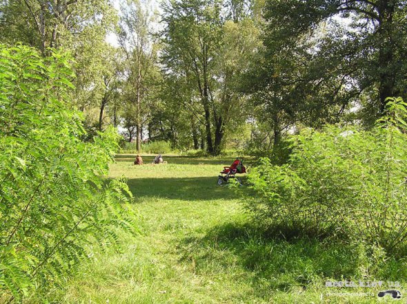 В урочищі "Наталка" влаштовують пікніки