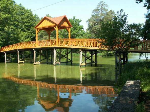 Популярним місцем відпочинку в Києві є "Пуща-Водиця"