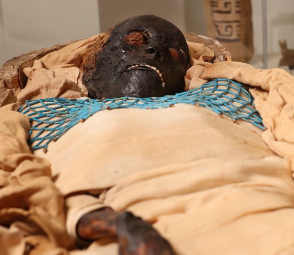 20-летняя египтянка, жившая 1,6 тыс лет назад была убита ножом в спину, и имела дополнительный зуб