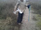 На Киевщине собаки покусали женщин