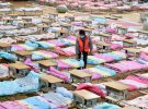 Работник заправляет постели для больных во временном госпитале на стадионе в городе Ухань