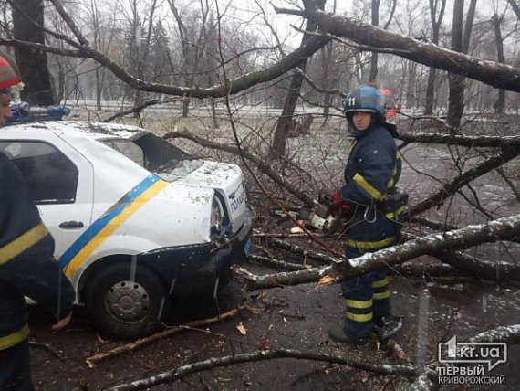 Дерево впало на машину поліції