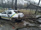 Дерево впало на машину поліції