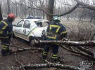 Дерево впало на машину поліції