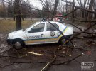 Дерево упало на машину полиции