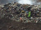 Звозити сміття на берег річки Тиса жителі Рахова почали з 2004 року