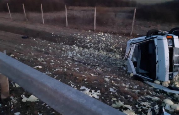 В Венгрии микроавтобус с украинцами попал в масштабное ДТП. 2 человека погибли