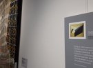 На виставці «Діалог часу» в Києво-Могилянській бізнес-школі представили десять творів українських абстракціоністів ХХ і ХХІ століть, великі картини сучасних художників експонують поруч репродукціями класиків.