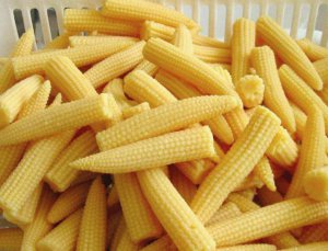 Цукрова кукурудза  сорту Мініголд має 10-сантиметрові качани. Їх зручно маринувати