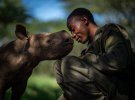 Назвали лучшие фотографии дикой природы в номинации «Выбор народа»
