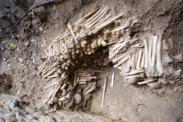 Под церковью обнаружили стену из человеческих костей XV в.