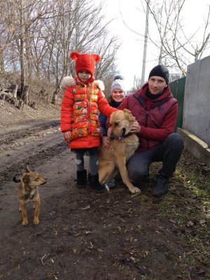 В'ячеслав Ковтун з дружиною Мариною і донькою Софією гладять собаку Герду. Вона отримала контузію у Горлівці на Донеччині