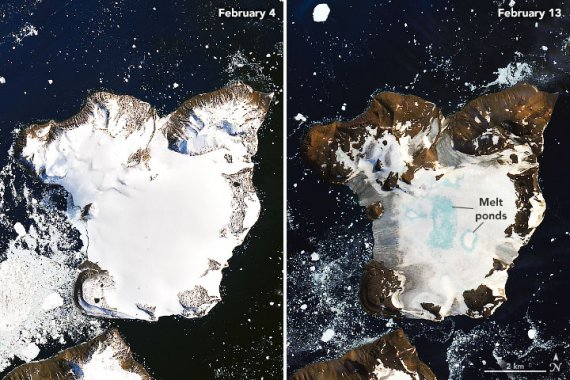 Ледяная шапка на острове Eagle Island в Антарктиде начала стремительно таять.