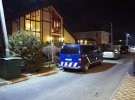 Сергія Старицького знайшли із вогнепальним пораненням голови у будинку колишнього міністра зовнішніх справ Леоніда Кожари в селі Чайки під Києвом. Справу розслідують як умисне вбивств