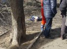 В Одессе на 69-летнюю женщину упало дерево. Она погибла на месте