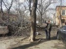 В Одесі на 69-річну жінку впало дерево. Вона загинула на місці