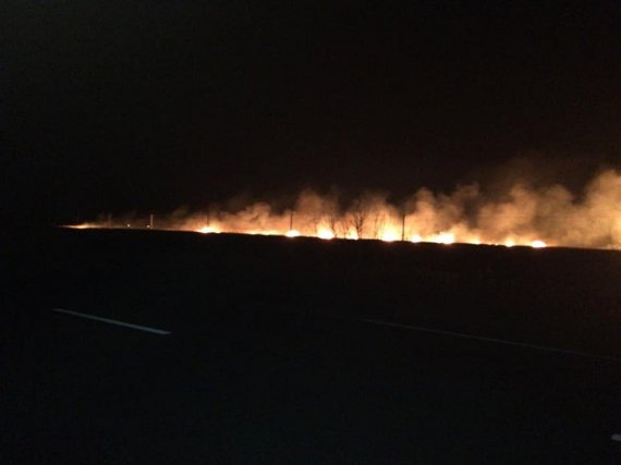 У національному парку Одеси спалахнула масштабна пожежа