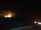 В национальном парке Одессы вспыхнул масштабный пожар