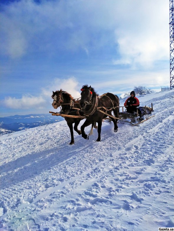 Прогулка на лошадях на горе стоит 50 гривен за 200 метров