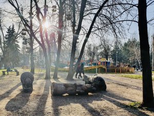В Запорожье в больнице скончалась 8-летняя девочка, на которую в парке упала деревянная скульптура