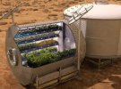 Відкриття 2020: виростили салат у космосі