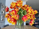 Сорт этих цветов голландская компания назвала в честь певицы в 2017 году