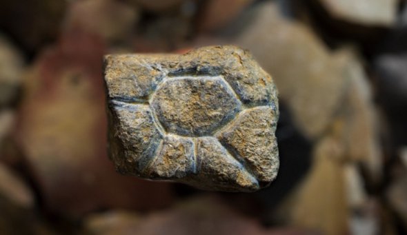 Небольшие камни с изображением "солнца" и буйвола нашли в доисторической пещере