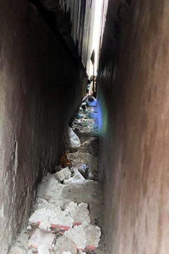 Із переляку кішка заховалась поміж корпусами будинку