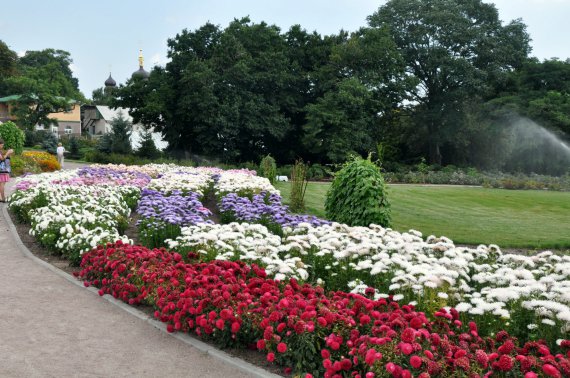 Київський ботанічний сад вражає своєю красою та різноманіттям рослин