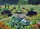 Київський ботанічний сад вражає своєю красою та різноманіттям рослин