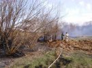 На Житомирщині сталася пожежа на території 2 га. Вогонь знищив 25 споруд, 4 з них – нежилі будинки
