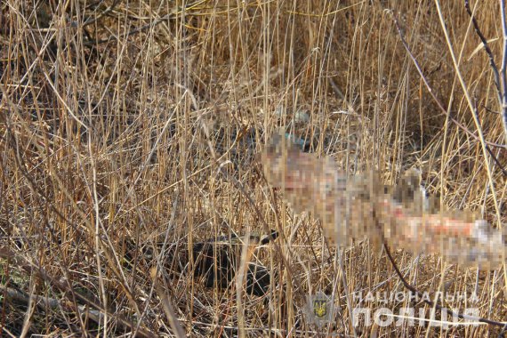 На пустыре в Житомире нашли тело 18-летнего парня с множественными ранами. Подозреваемых в убийстве задержали. Это местные жители 19 и 18 лет