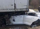Дорогою до Москви у ДТП загинув відомий в Instagram та YouTube блогер, шоумен і порноактор із України Павло Петель