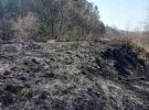 Відразу дві масштабні пожежі зафіксували у львівському парку «Знесіння» у понеділок, 6 квітня
